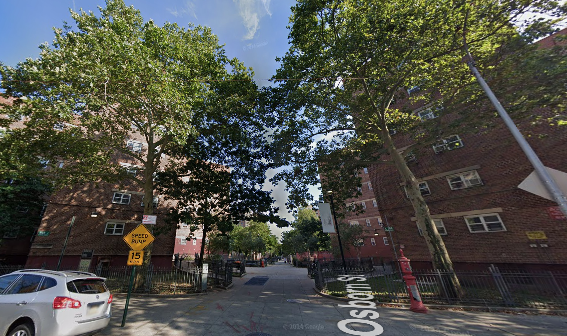 Brownsville News • Brooklyn Paper