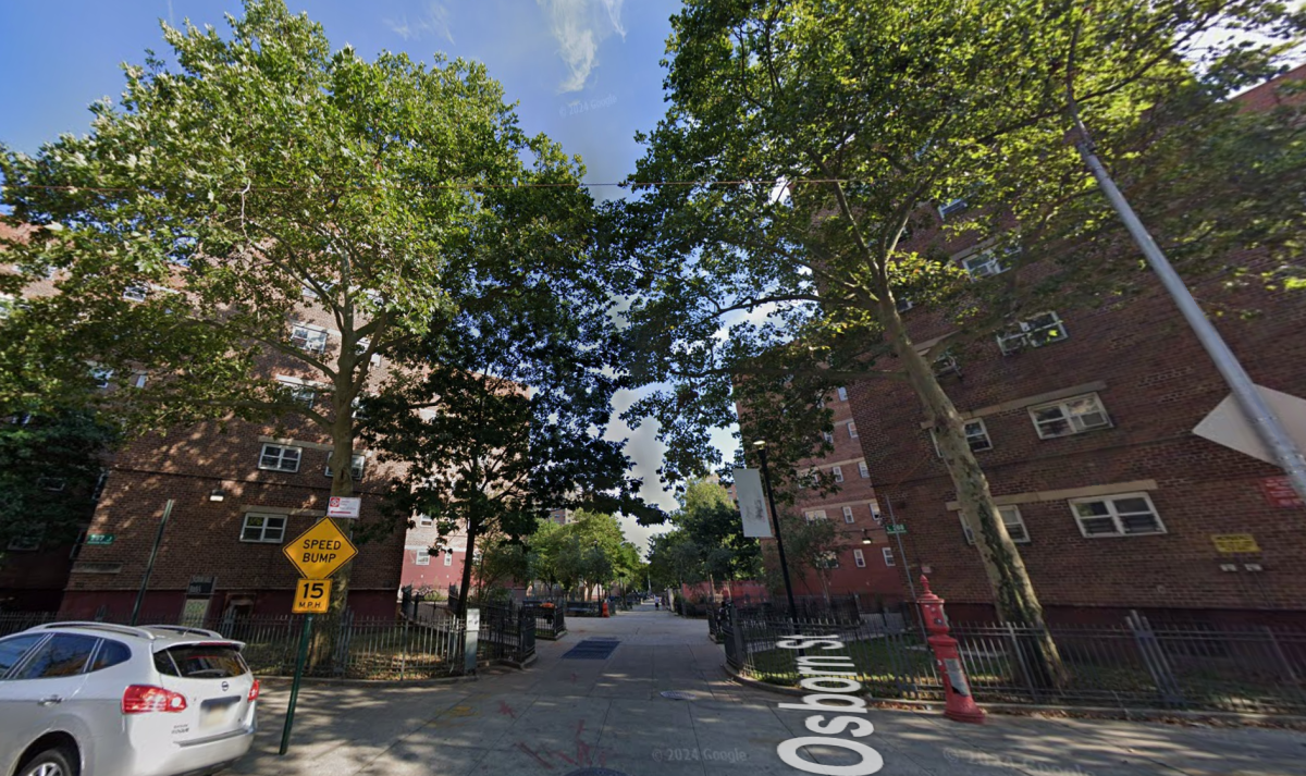 brownsville NYCHA fire