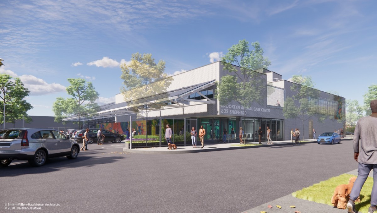 animal care centers shelter in brooklyn