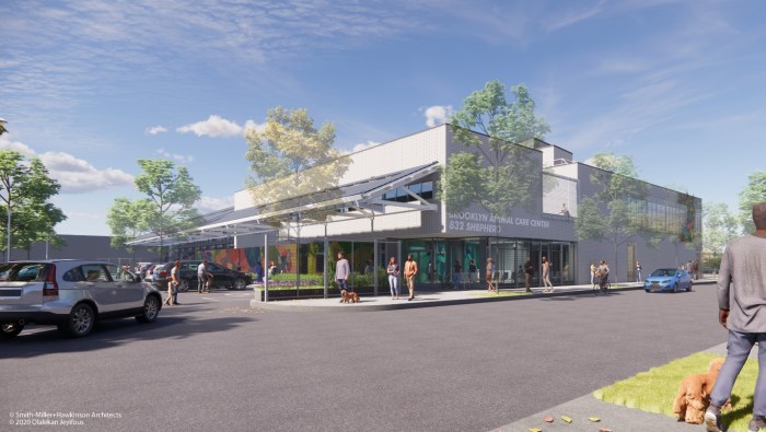 animal care centers shelter in brooklyn