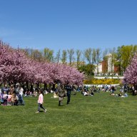 brooklyn botanic garden pandemic memorial