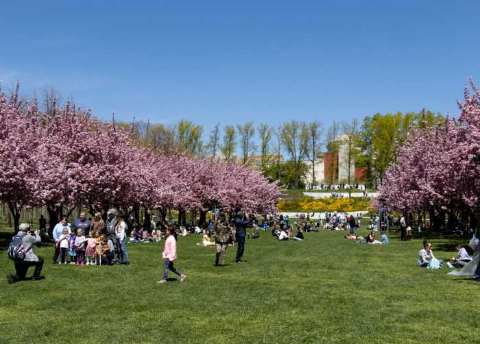 brooklyn botanic garden pandemic memorial