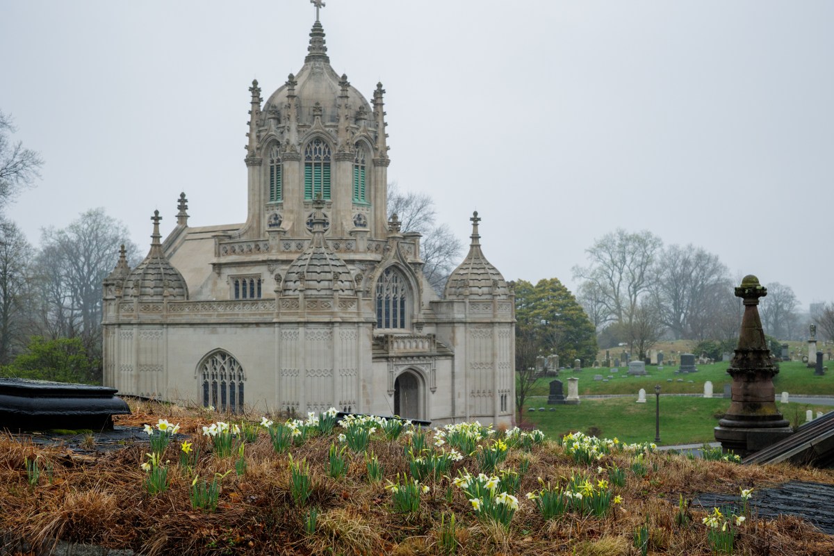 Life and death in Green-Wood Cemetery: Rewilding project revives native flora and fauna