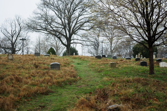 grass at green-wood