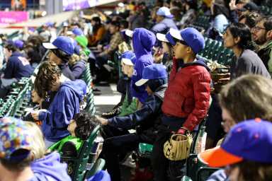 brooklyn cyclones fans