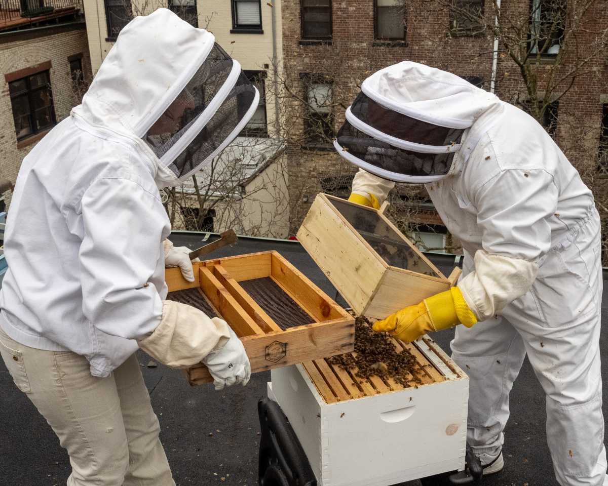 NY: Bee Hive Installation
