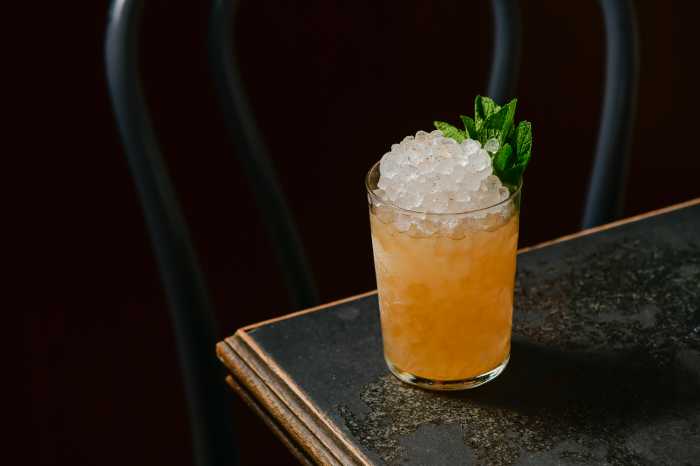 orange cocktail with ice and green garnish