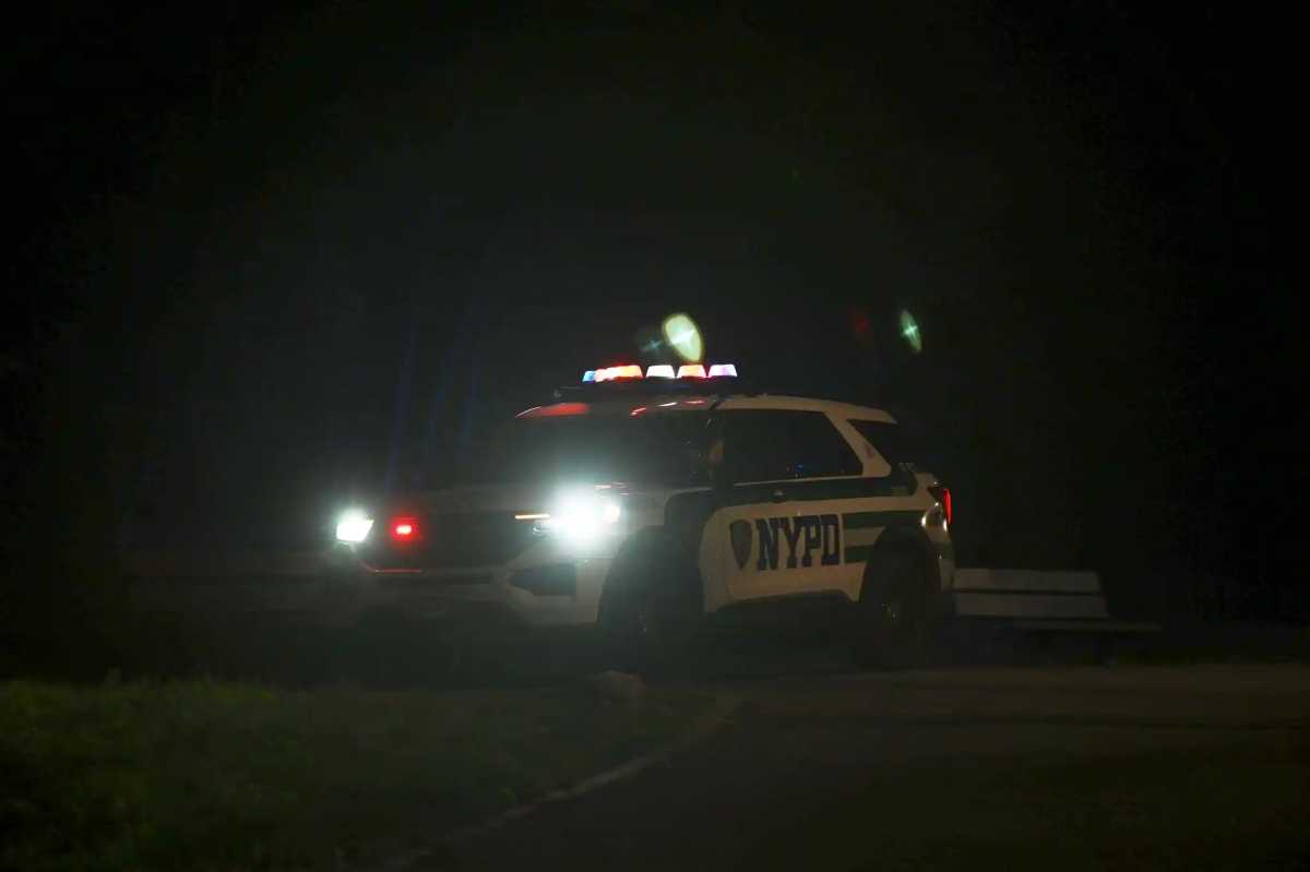cypress hills park shooting