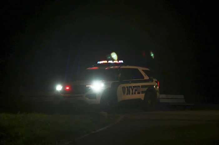 cypress hills park shooting