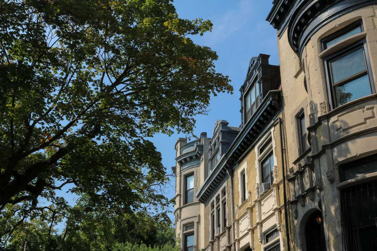crown-heights-brooklyn-streetscape-sdevries