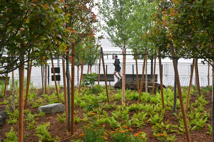 mini forest in williamsburg