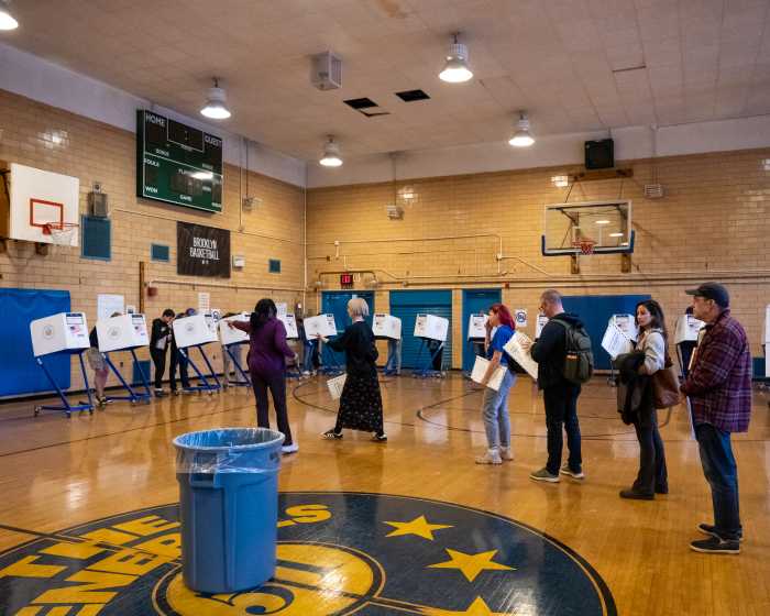voters in line in brooklyn
