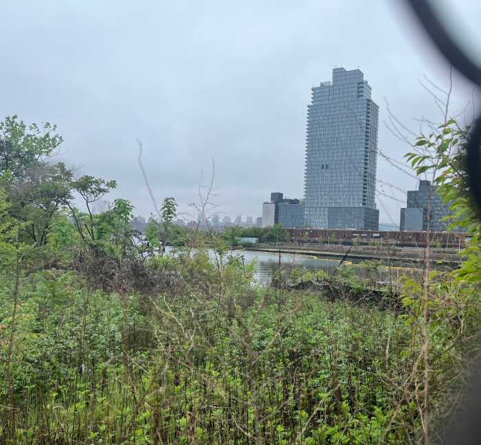 monitor point site bushwick inlet park