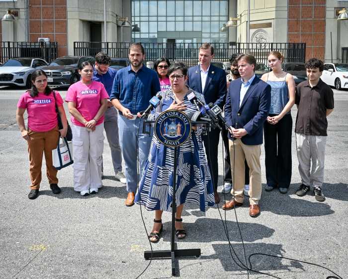 woman speaking at MDC ice presser