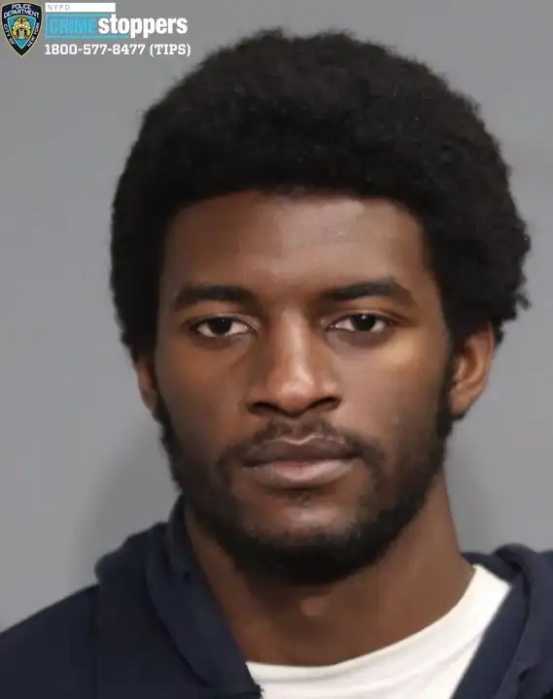 mughshot of man accused of torching nypd vehicles