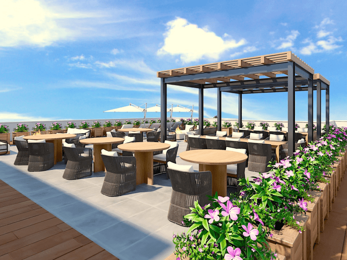 rooftop fort greene
