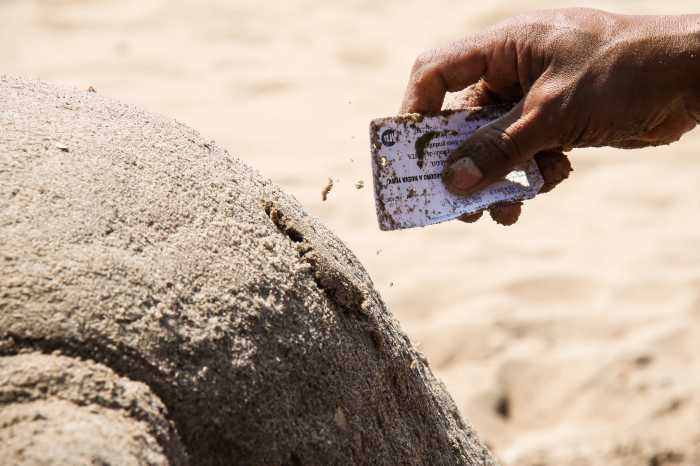 man uses metrocard in sand sculpture