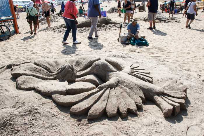 sand hummingbird