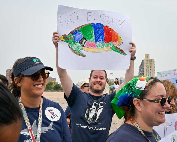 volunteers and locals cheered elton's return