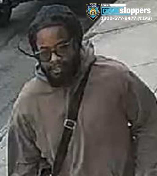 crown heights suspect