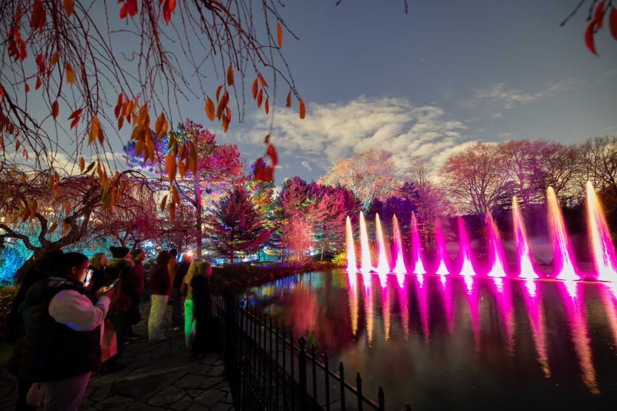 lightscape brooklyn botanic garden