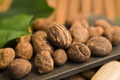 shea butter nuts