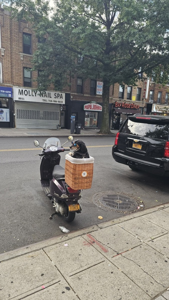 scooter kisos