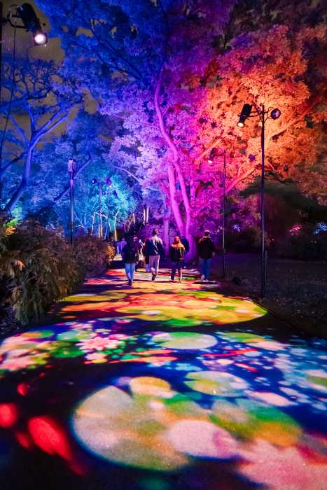 lightscape