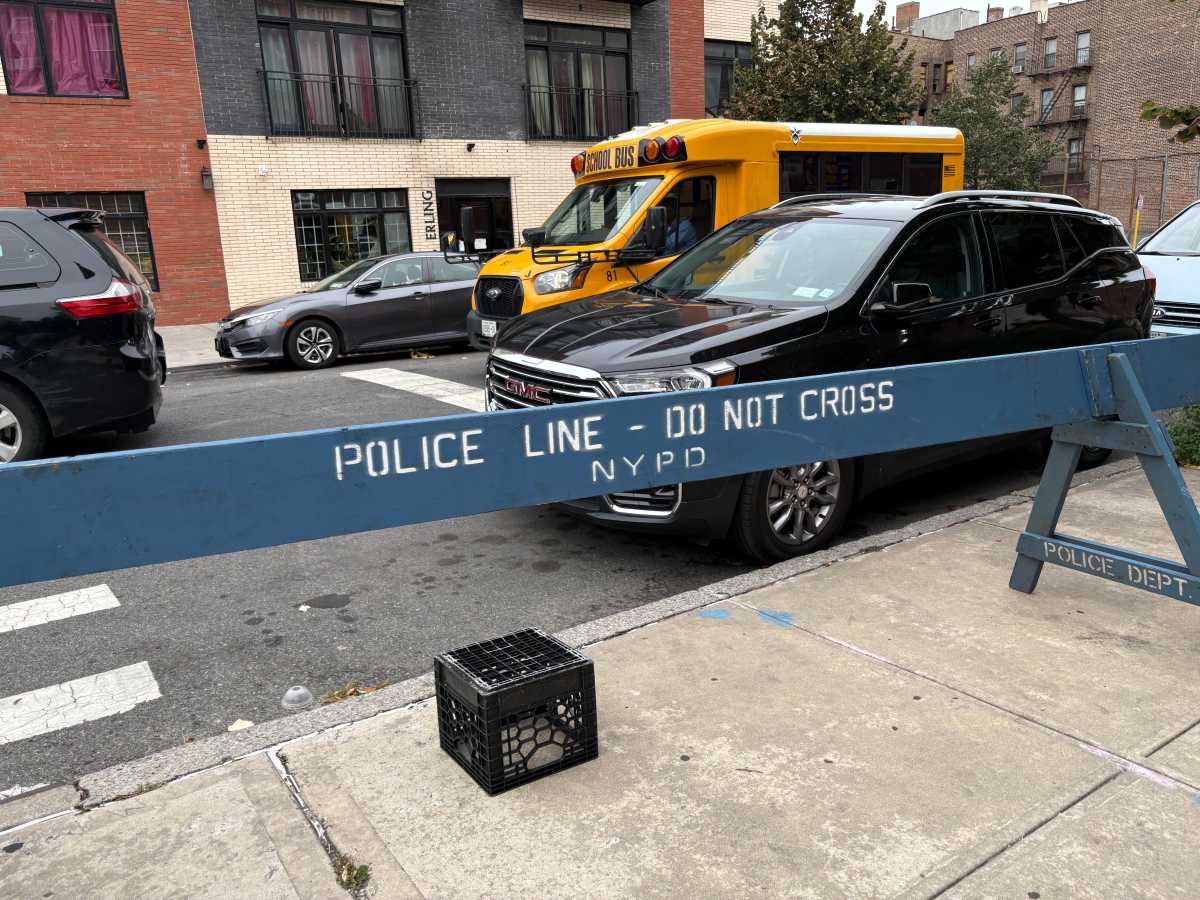 crown heights shooting