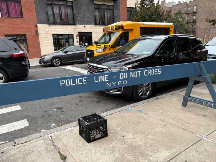 crown heights shooting