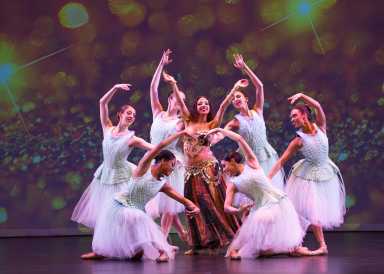 the brooklyn nutcracker things to do