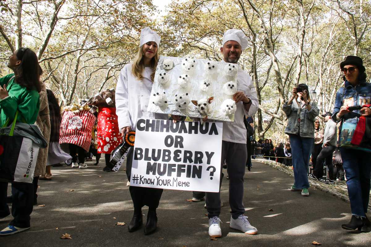 Hundreds flock to Fort Greene Park for beloved 'Great Pupkin' dog costume contest * Brooklyn Paper