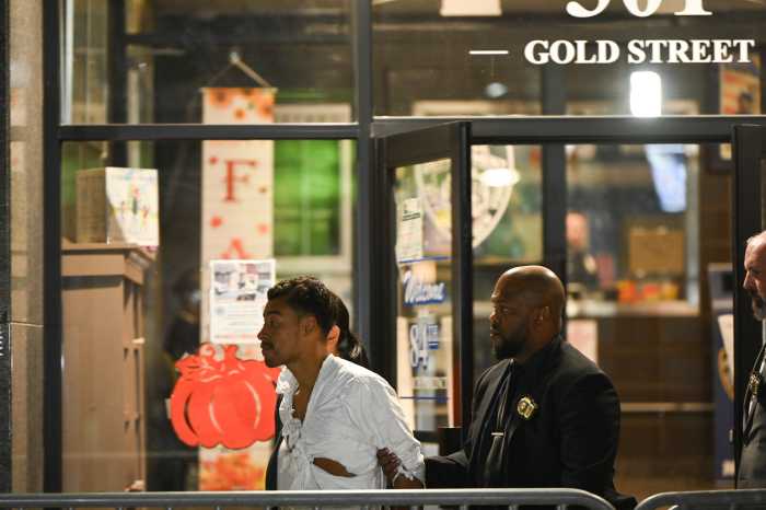 suspect in jay street murder