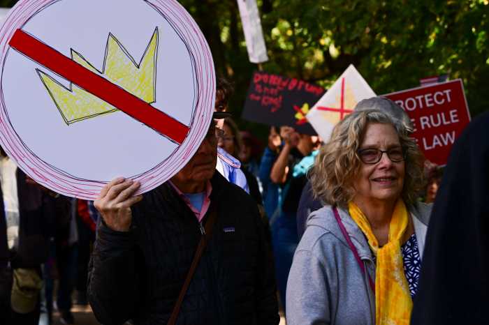 man with no kings sign in park slope 