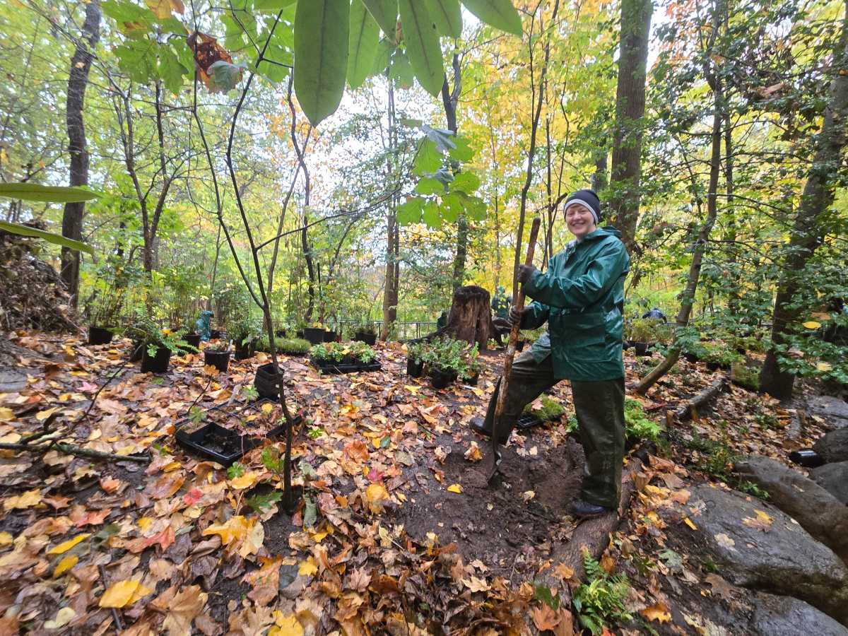 Prospect Park receives $10M endowment to support Brooklyn's only forest Brooklyn Paper