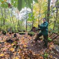 prospect park alliance forest