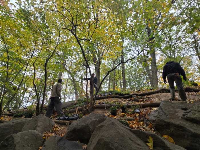 prospect park ravine