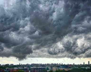 brownstone-agency-summer-storms