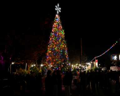 NY: NY: Park Slope Tree Lighting