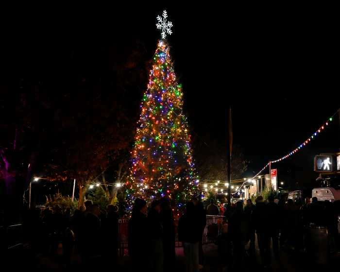 NY: NY: Park Slope Tree Lighting