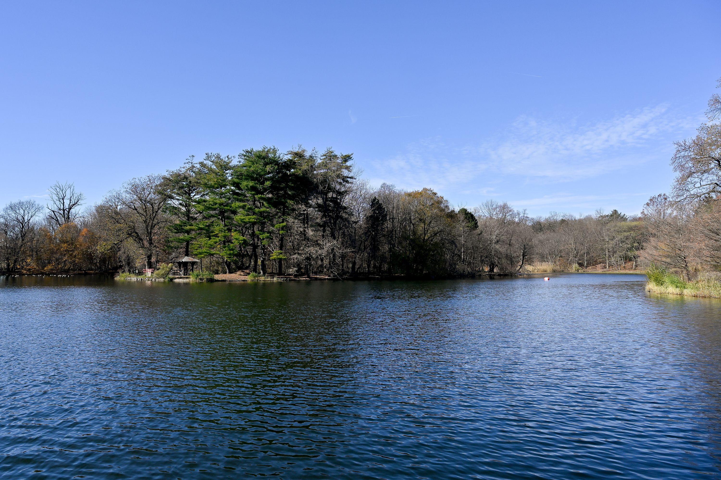 prospect park lake