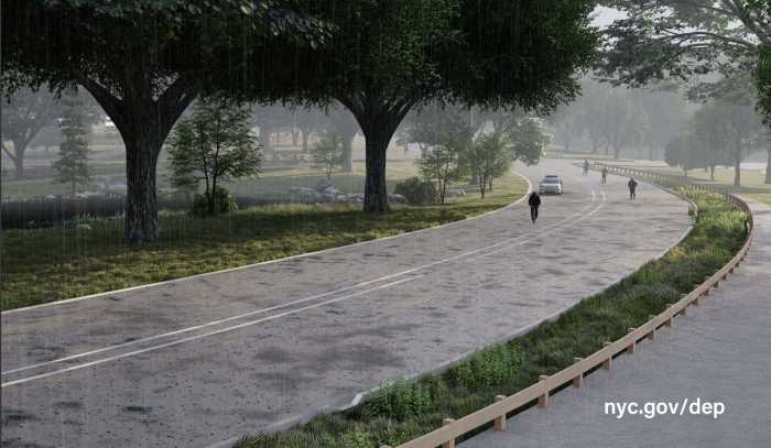 west drive rain gardens