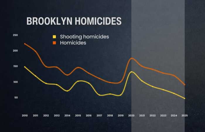 Brooklyn records safest year as murders and shootings hit historic low: DA  amNewYork