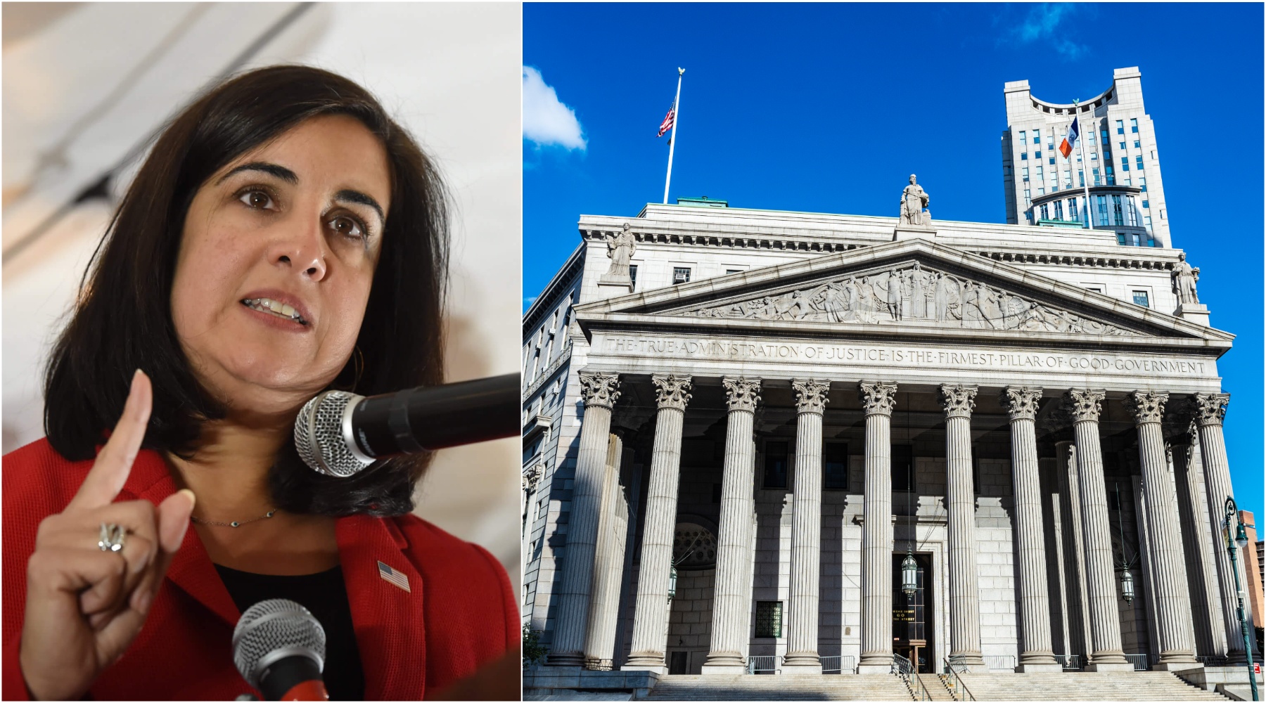 malliotakis lawsuit ny-11