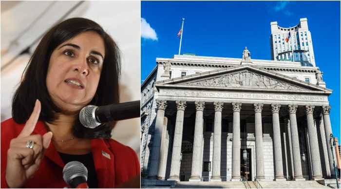 malliotakis lawsuit ny-11
