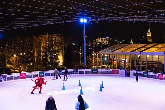 SKATE at Domino Park