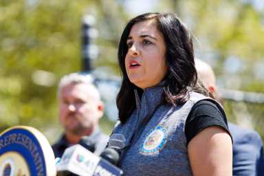 11th congressional district unconstitutional malliotakis