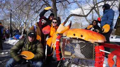 Idiotarod in brooklyn