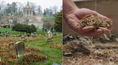 green-wood cemetery human composting