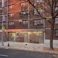 bushwick building where body was found